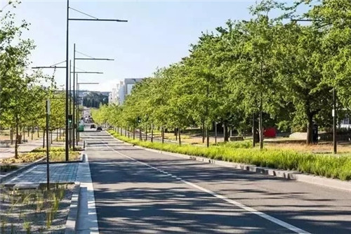 國外街道景觀改造,為何如何讓人津津樂道?
